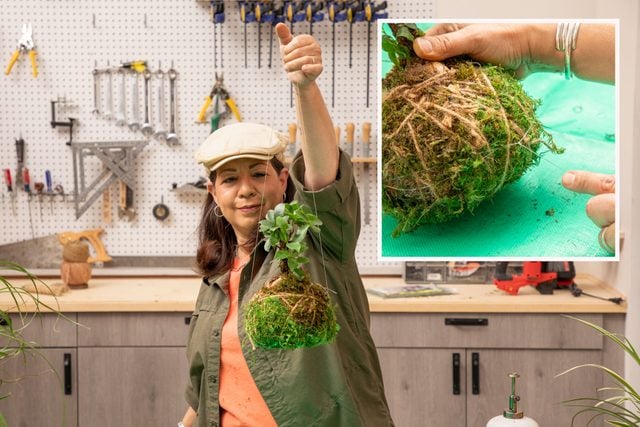 Bring Your Houseplant Game Up A Notch With A Diy Kokedama Fhmfebmar25 Dr 10 22 26b 25b Inset