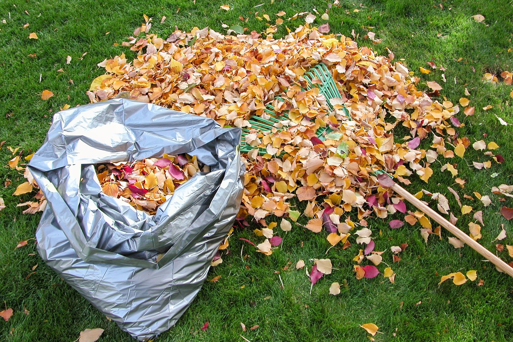 Could This Hack Make Bagging Leaves Easier?