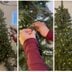 How to Fluff a Christmas Tree