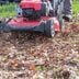 Here's Why Mowing Leaves Is Better Than Raking Them