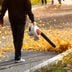 The 7 Best Leaf Blowers to Clear Your Yard of Leaves and Debris