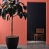 9 Best Interior Paint Colors