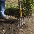 Improve Your Yard and Soil Health With The Best Lawn Aeration Devices