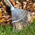 16 Useful Tools for Collecting Leaves